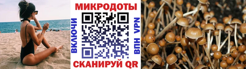 Галлюциногенные грибы мицелий  Благовещенск 